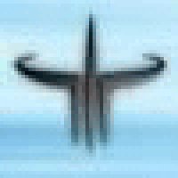 Timothytix